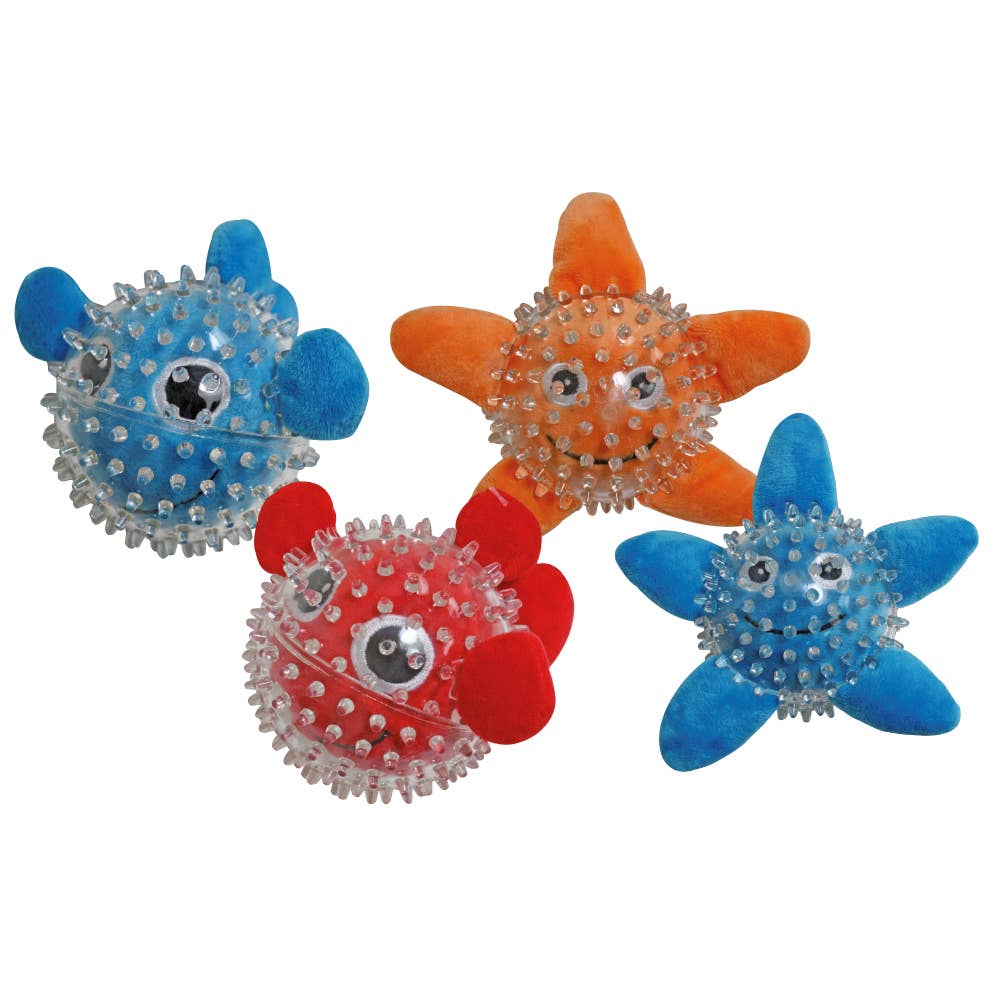 Balle poisson rouge pour chien