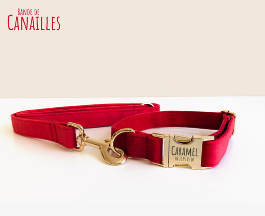 Collier pour chien en velours rouge – Bande de Canailles – boucle