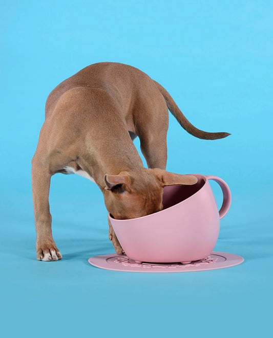 Gamelle écologique anti-éclaboussures CUP – United Pets