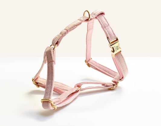 Harnais pour chat en velours Rose – Bande de Canailles