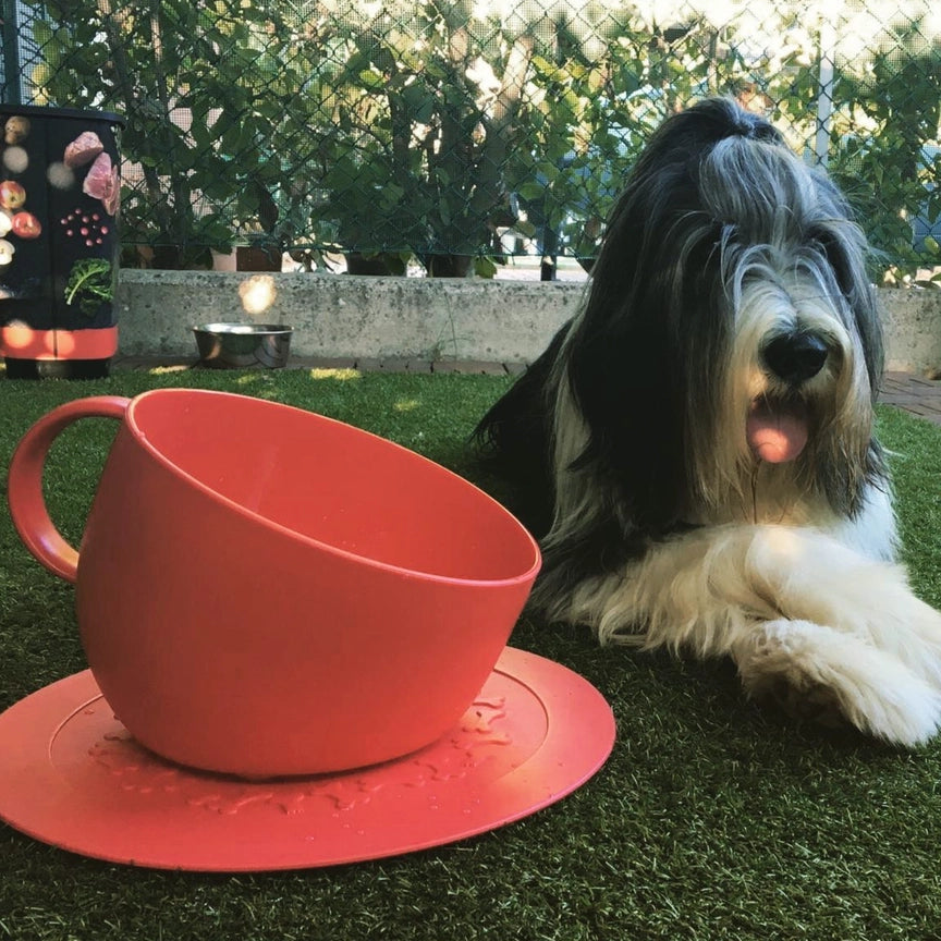 Gamelle écologique anti-éclaboussures CUP – United Pets
