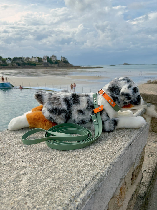 Laisse Magique Vert Sauge