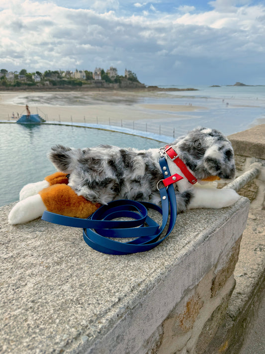 Laisse Magique Bleu Navy