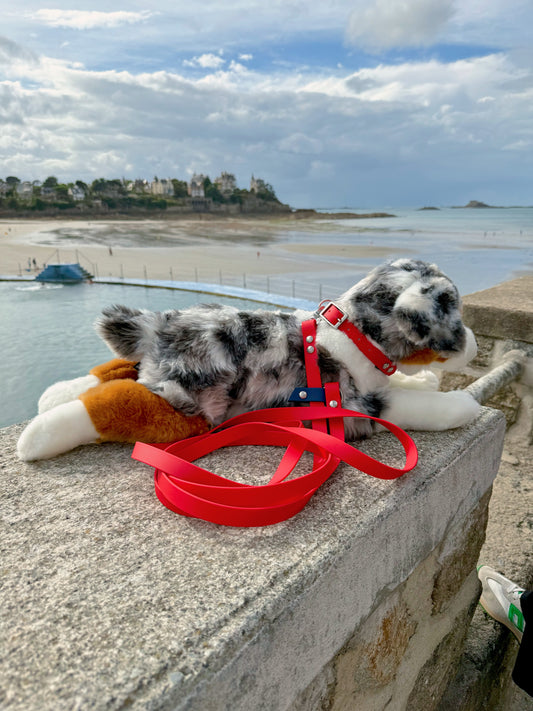 Laisse Magique Rouge