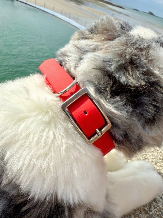 Collier Bleu Roi et Rouge