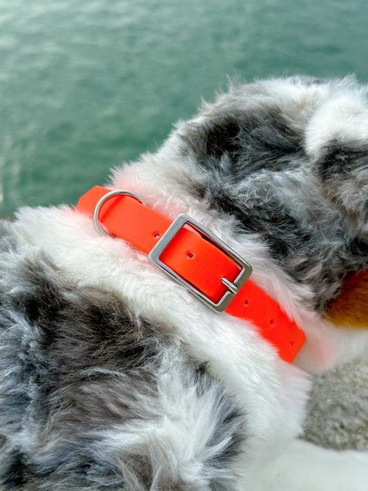 Collier Vert Sapin et Orange Néon