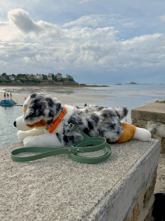 Laisse simple pour chien vert sauge, Pattounes Palace