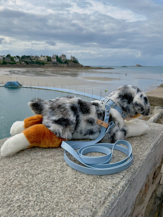 Laisse Magique Bleu Ciel
