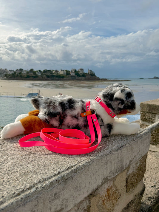 Laisse Magique Rose neon