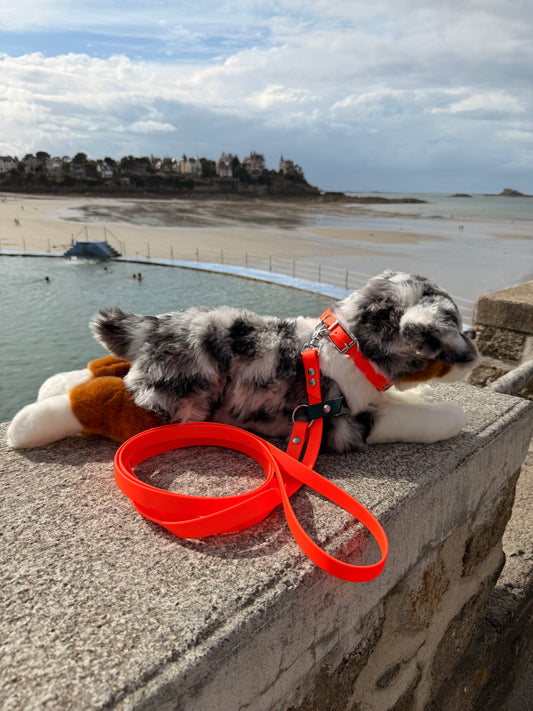 Laisse Magique Orange neon