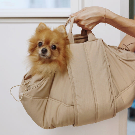 SAC DE TRANSPORT POUR CHIENS
