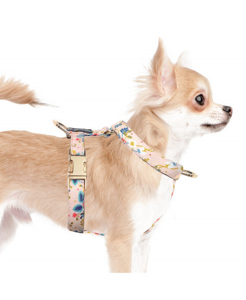 Harnais Straps Flora