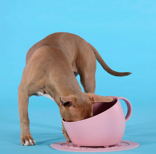 Le bol CUP Rose antique