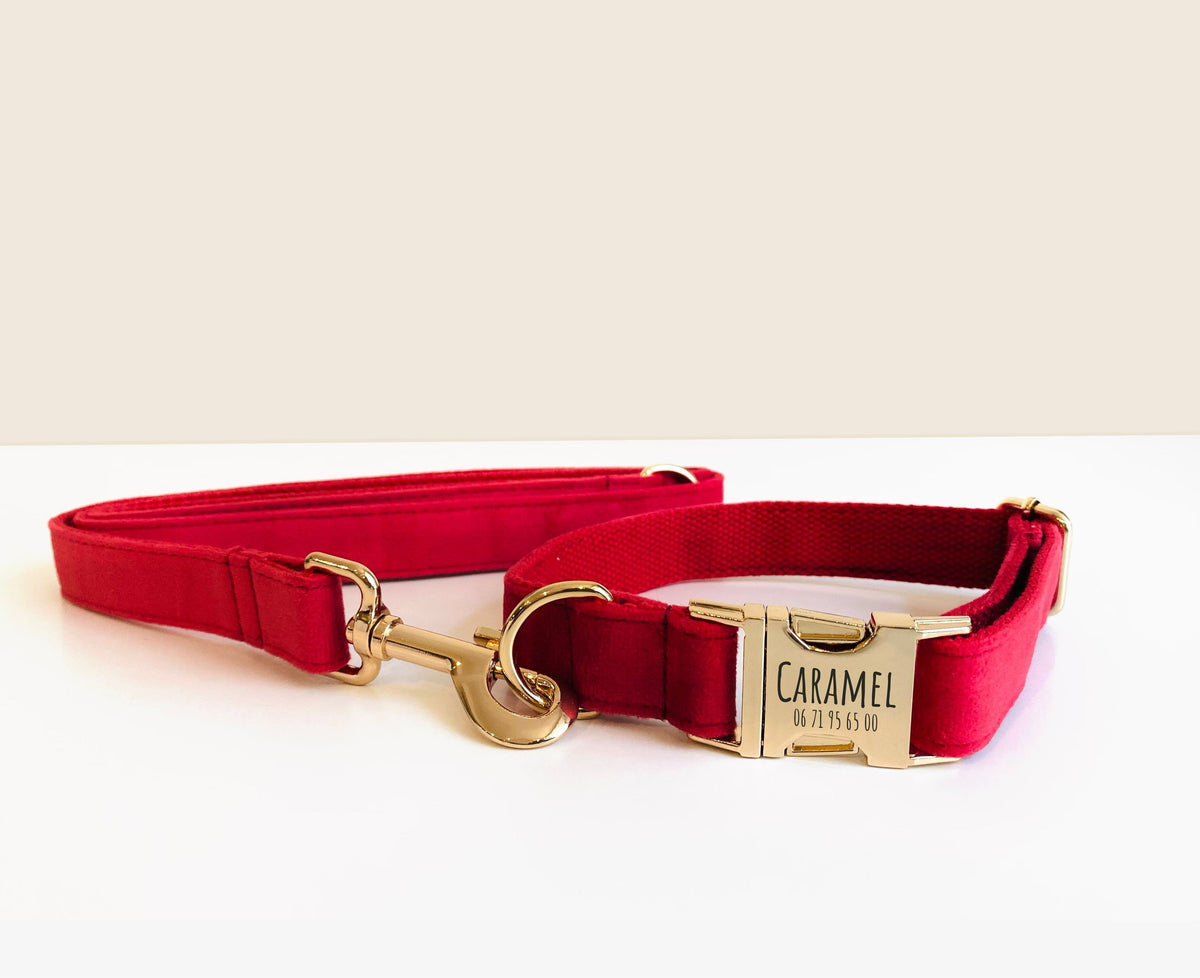 Laisse pour chien en velours rouge – Bande de Canailles