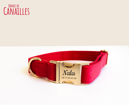 Collier pour chien en velours rouge – Bande de Canailles