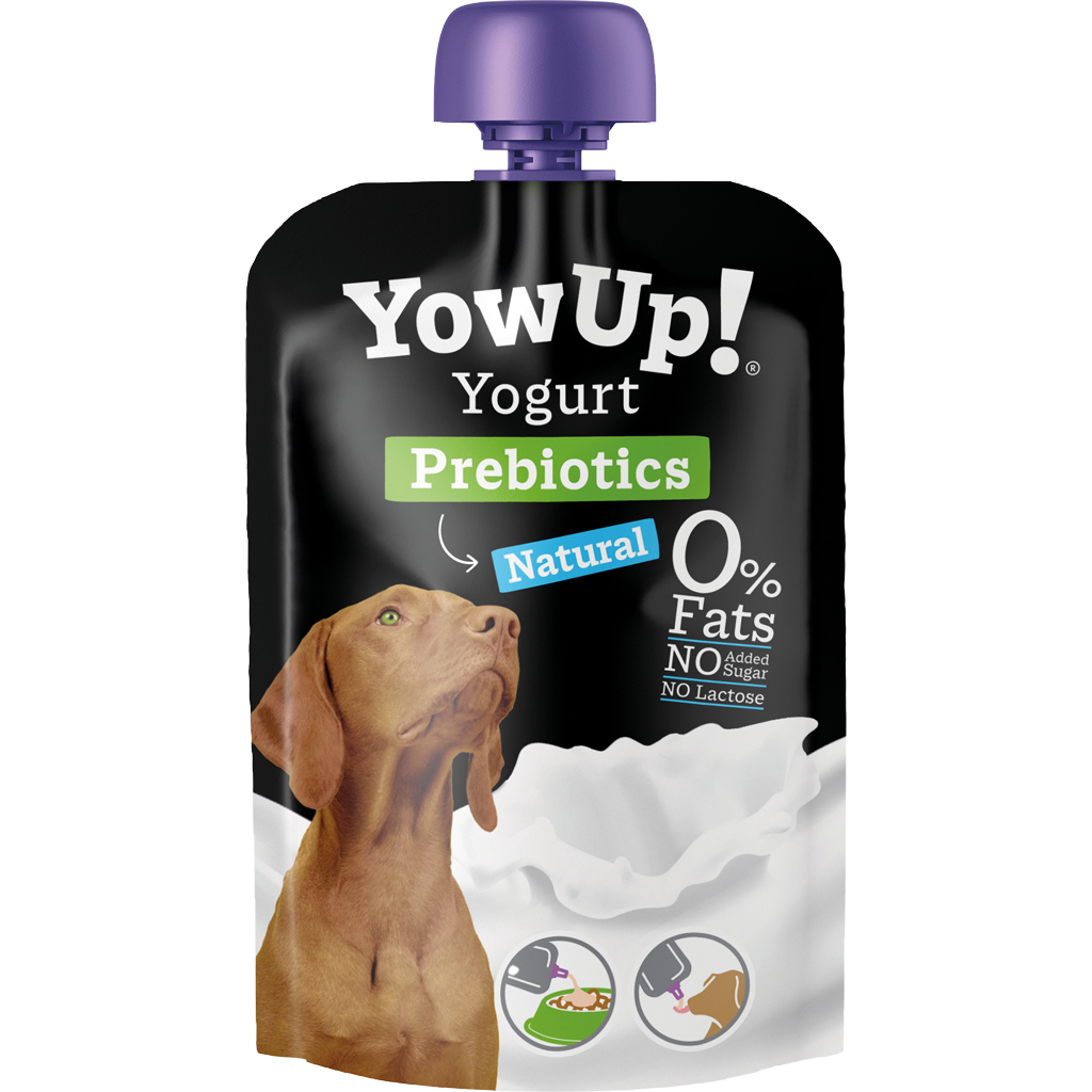 Yaourt digestif nature pour chien aux prébiotiques – YowUp