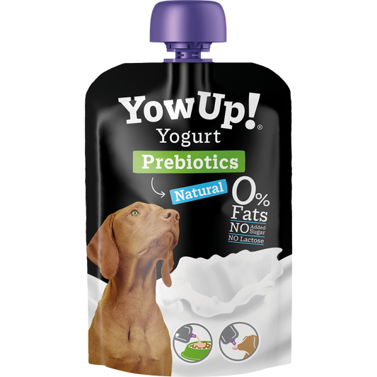 Yaourt digestif nature pour chien aux prébiotiques – YowUp