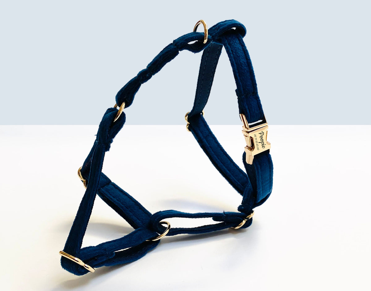 Harnais pour chat en velours Bleu Marine – Bande de Canailles