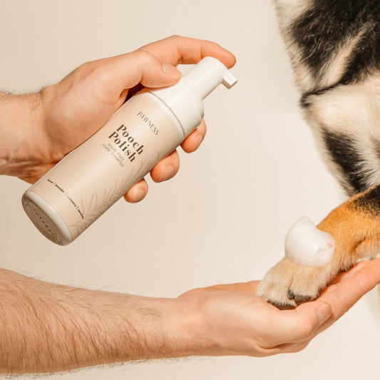 Shampooing Mousse Sans Rinçage