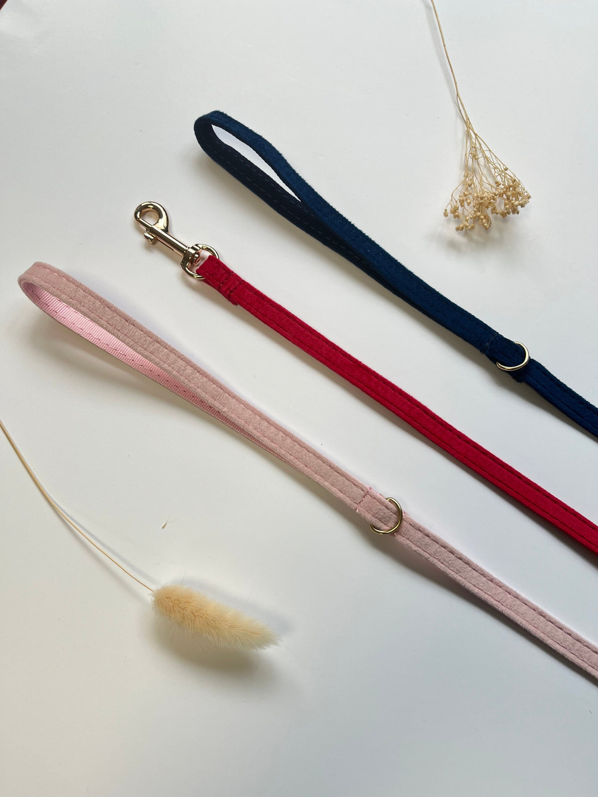 Laisse pour chat en velours – Bande de Canailles – coloris disponibles