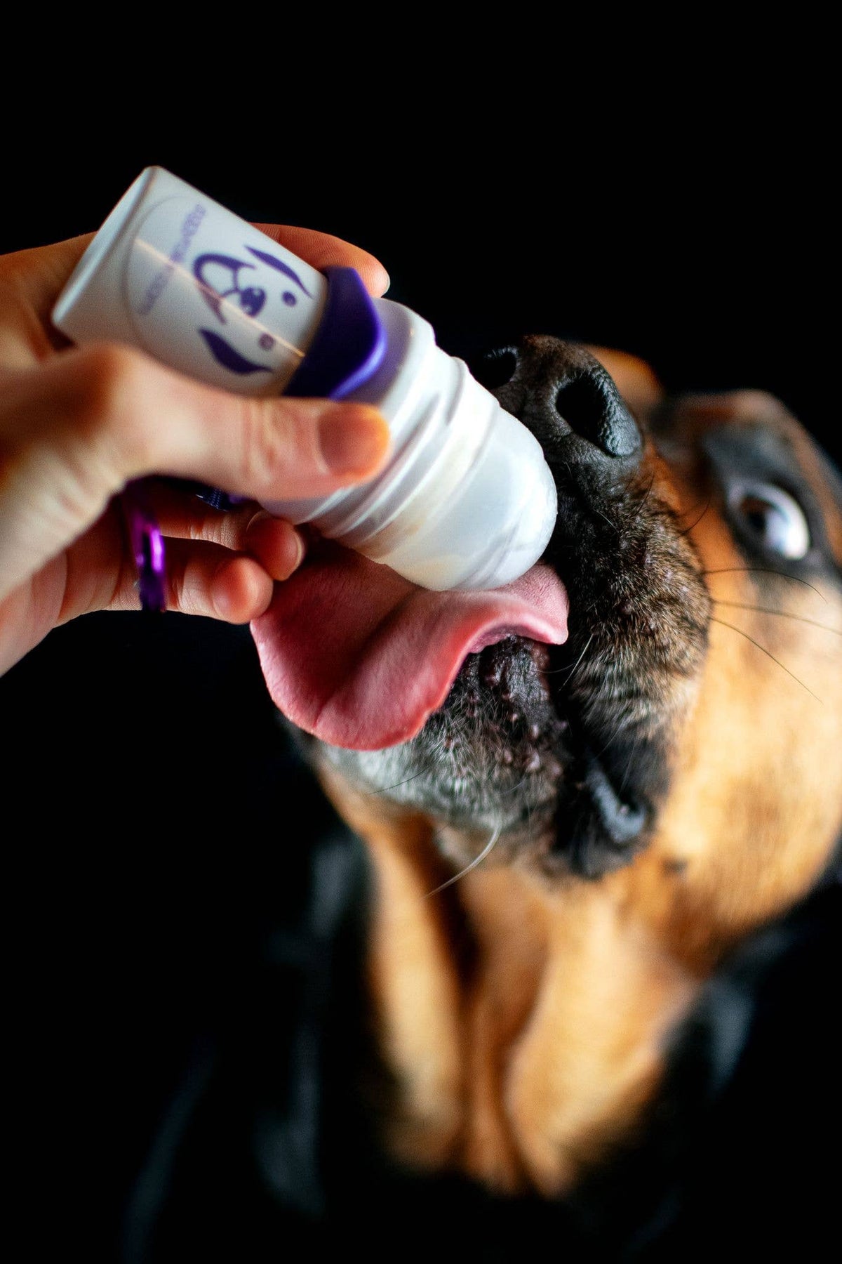Chien qui lèche le rouleau Doggyroller