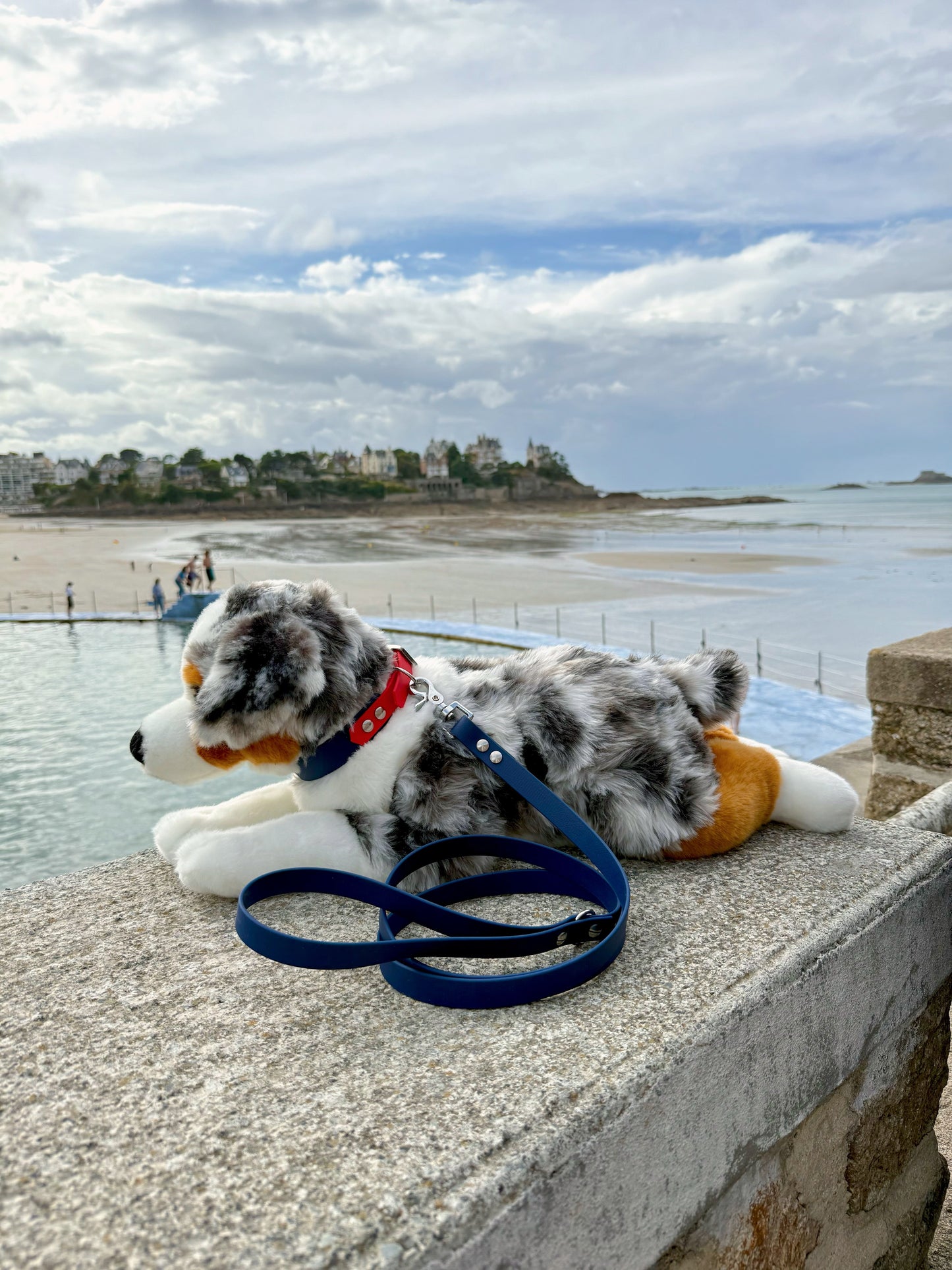 Laisse simple pour chien bleu navy, Pattounes Palace