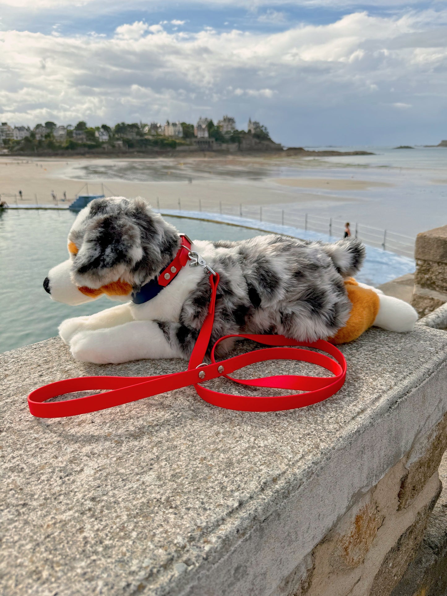 Laisse simple pour chien rouge, Pattounes Palace