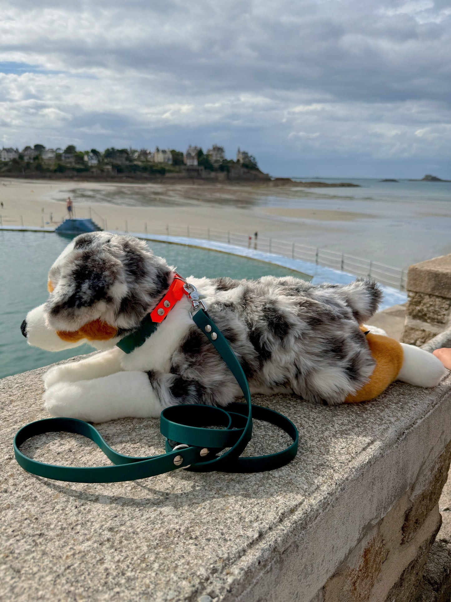 Laisse simple pour chien vert sapin, Pattounes Palace