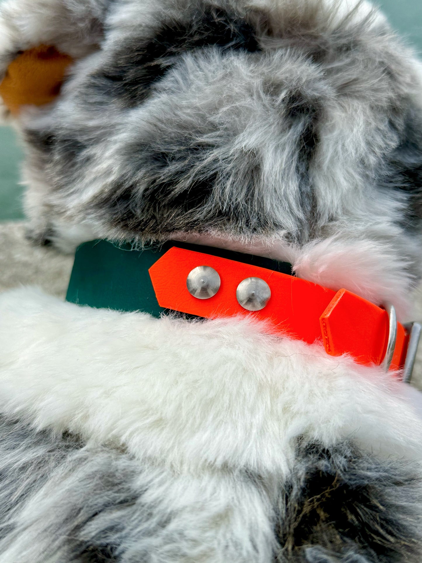 Collier pour chien vert sapin et orange néon, Pattounes Palace