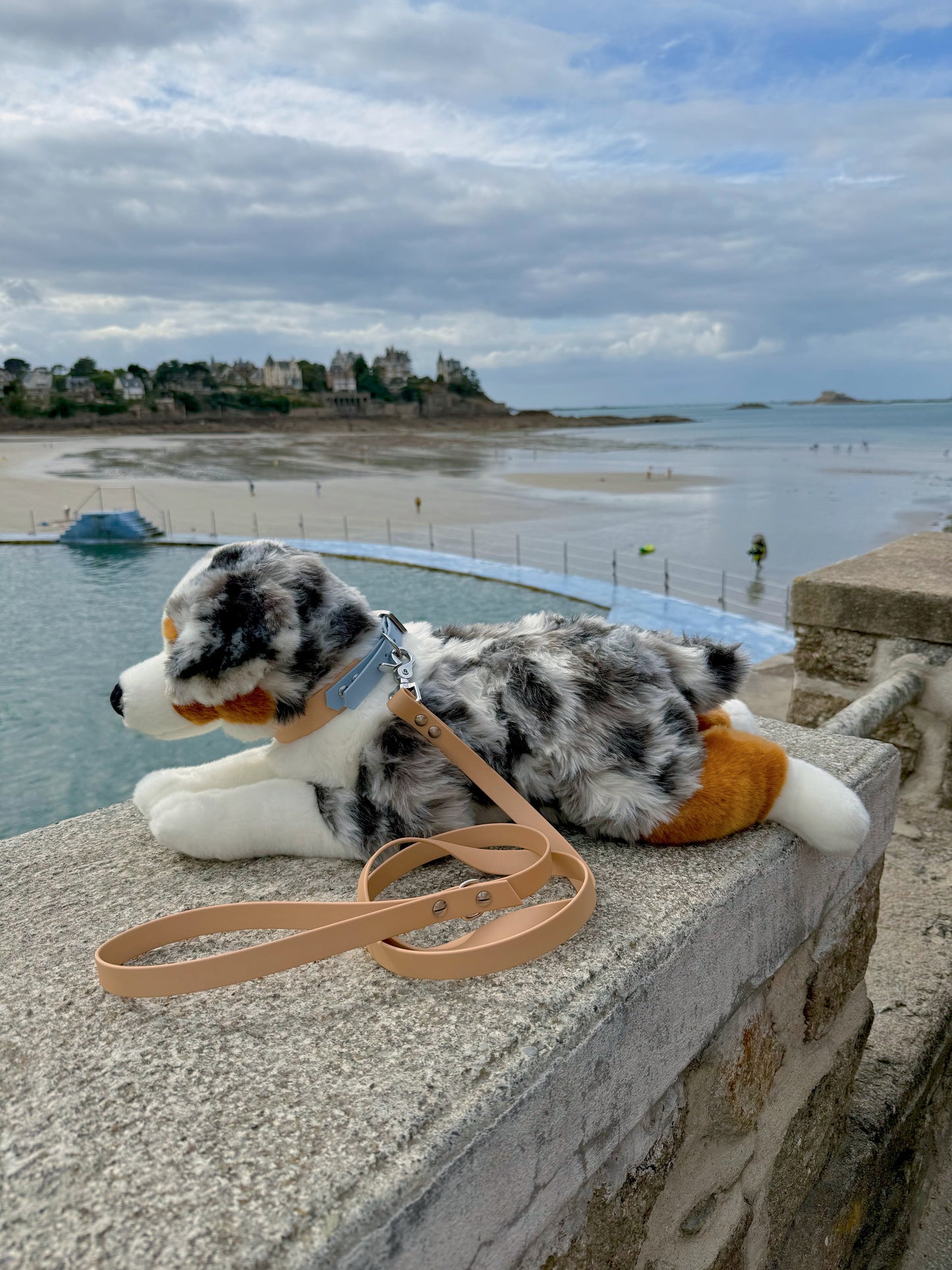 Laisse simple pour chien beige or light, Pattounes Palace