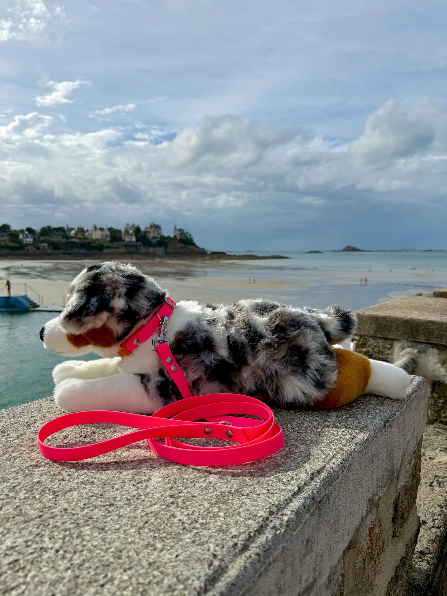 Laisse simple pour chien rose néon, Pattounes Palace