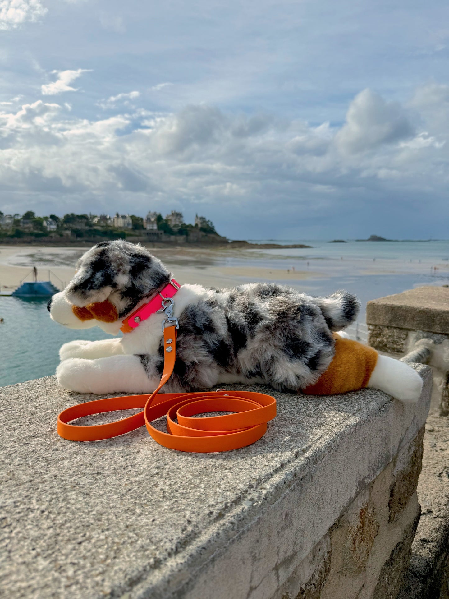 Laisse simple pour chien abricot, Pattounes Palace