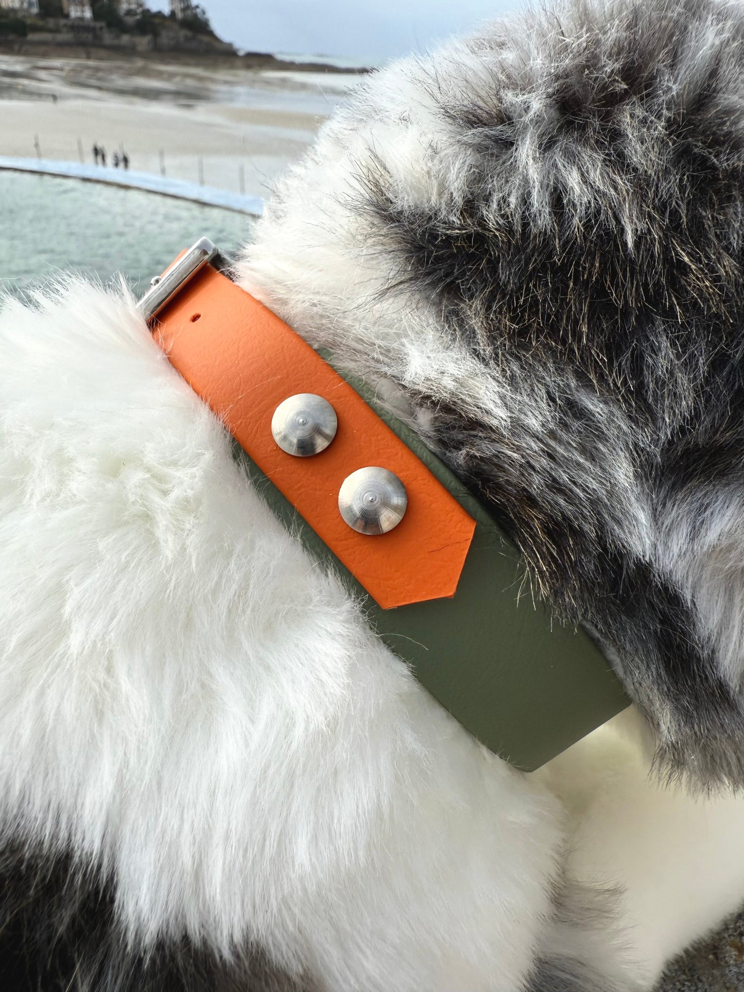 Collier pour chien vert sauge et abricot, Pattounes Palace