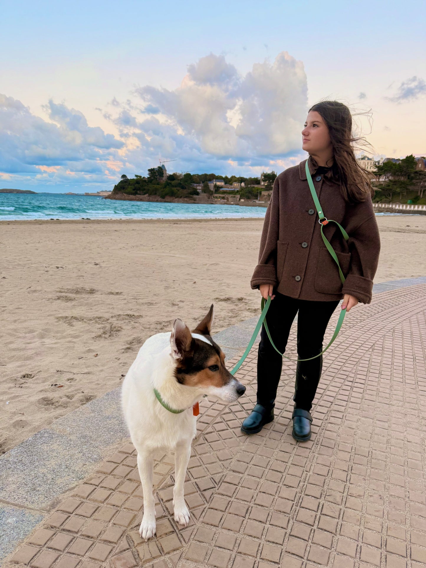 Laisse mains libres pour chien vert sauge et abricot, Pattounes Palace