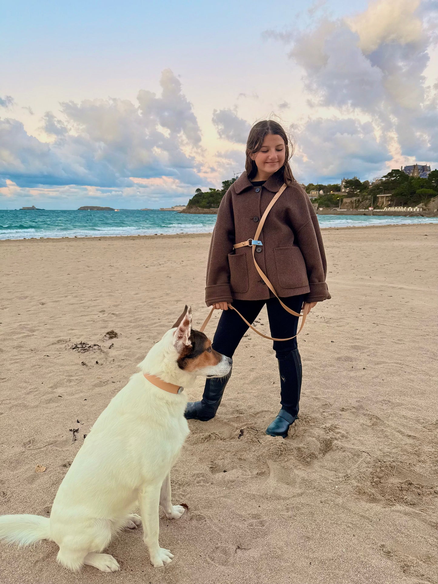 Laisse mains libres pour chien beige or light et bleu ciel, Pattounes Palace