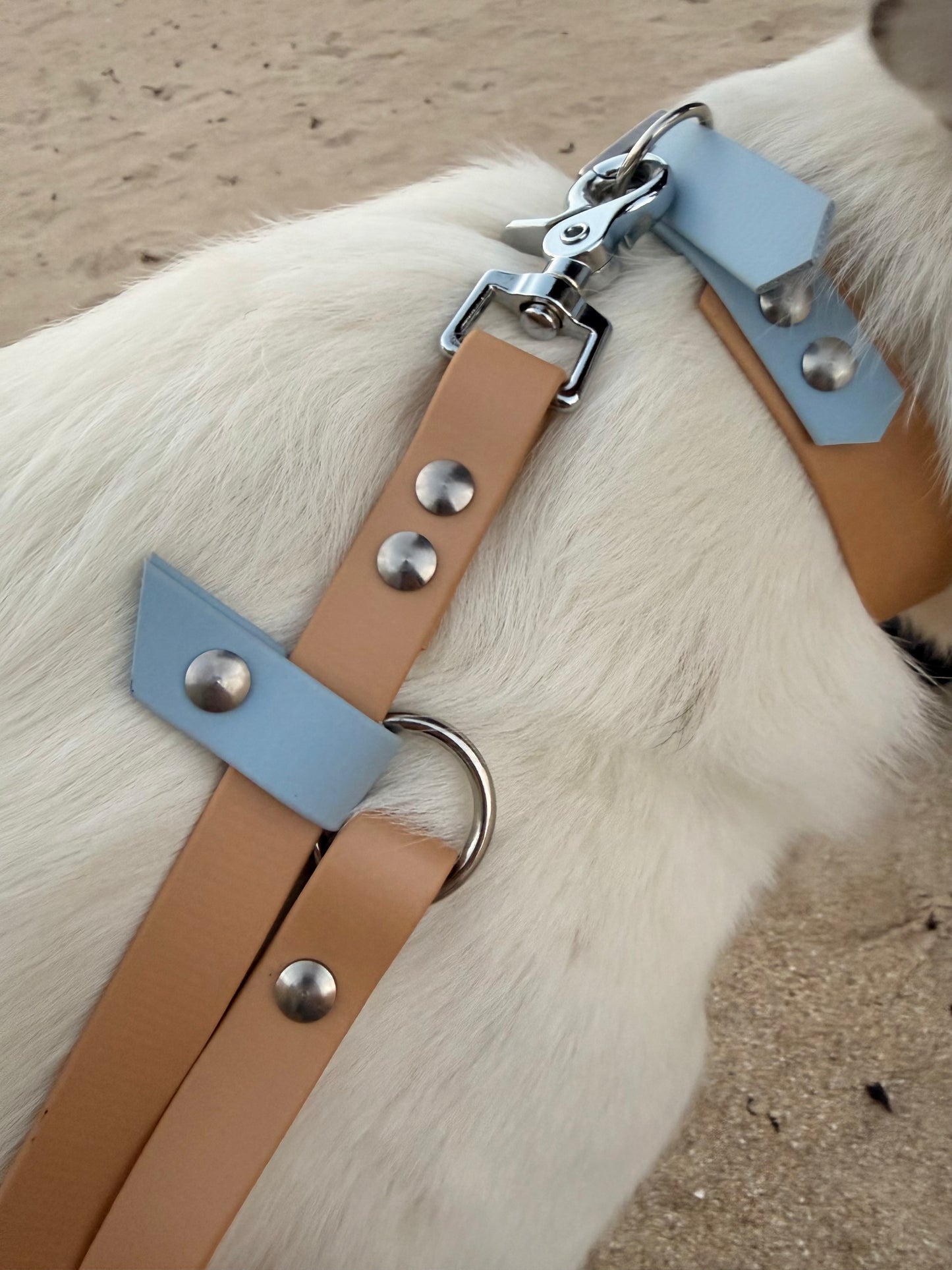 Laisse Magique Beige Or Light