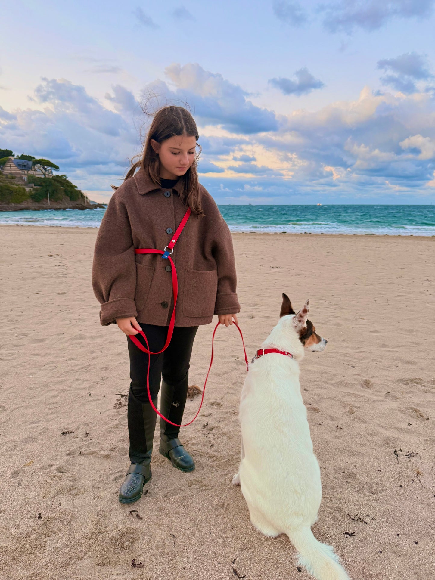 Laisse mains libres pour chien rouge et bleu, Pattounes Palace