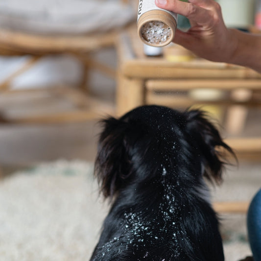 Shampoing sec certifié bio