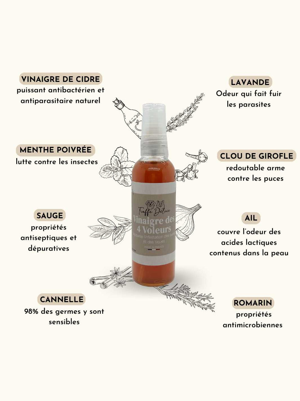 Vinaigre des 4 voleurs - Antiparasitaire chien
