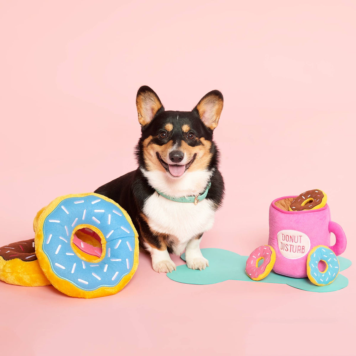 Peluche pour chien Hérisson, petit modèle – ZippyPaws – avec un chien