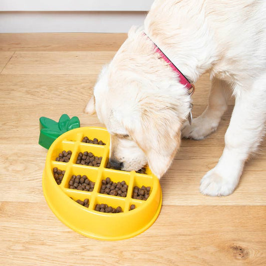 Happy Bowls - Ananas
