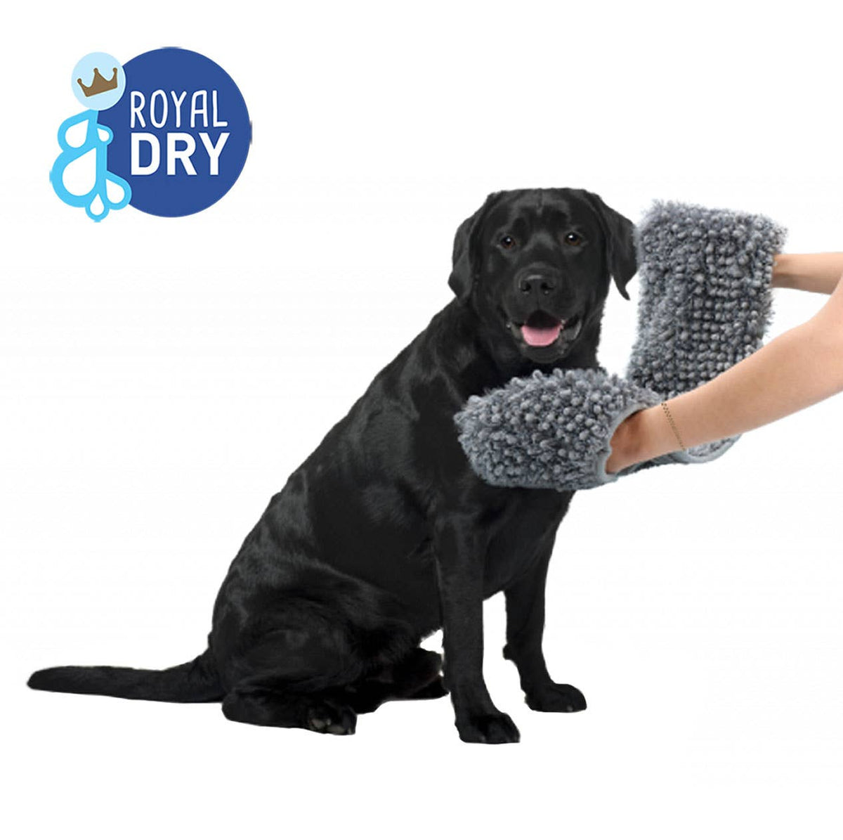Serviette pour chien en microfibre absorbante – Royal Dry – chien séché avec la serviette